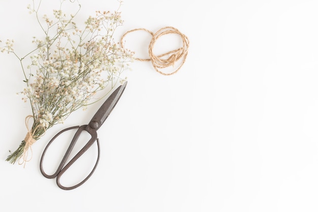 zátišie s niťami a ihlou